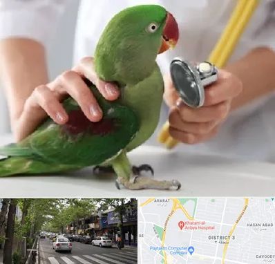 درمانگاه شبانه روزی پرندگان در ظفر 