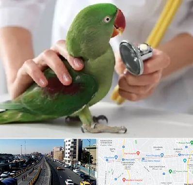 درمانگاه شبانه روزی پرندگان در پیروزی 