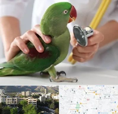 درمانگاه شبانه روزی پرندگان در دیباجی 