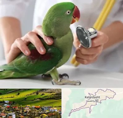 درمانگاه شبانه روزی پرندگان در کلاردشت