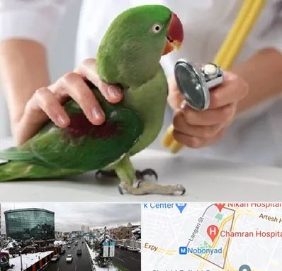 درمانگاه شبانه روزی پرندگان در اقدسیه 