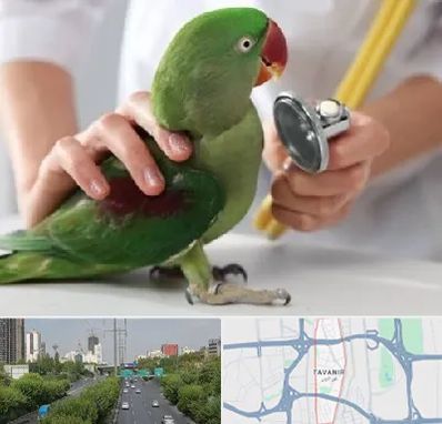 درمانگاه شبانه روزی پرندگان در توانیر