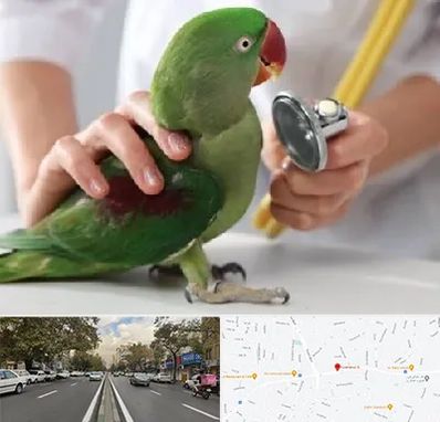 درمانگاه شبانه روزی پرندگان در دولت