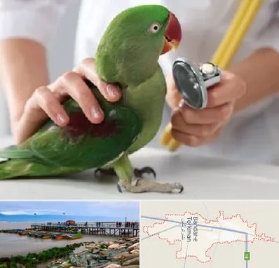 درمانگاه شبانه روزی پرندگان در بندر ترکمن