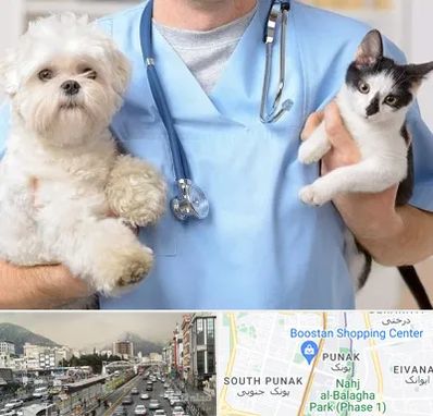 بیمارستان شبانه روزی دامپزشکی در پونک 
