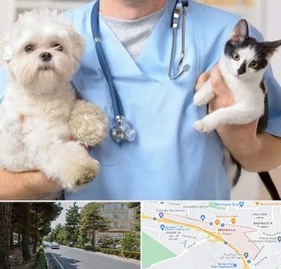 بیمارستان شبانه روزی دامپزشکی در مهرویلا کرج