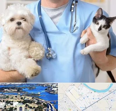 بیمارستان شبانه روزی دامپزشکی در کوروش اهواز