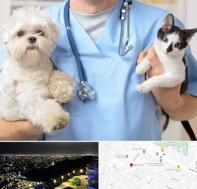 بیمارستان شبانه روزی دامپزشکی در هفت تیر مشهد