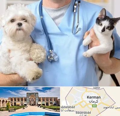 بیمارستان شبانه روزی دامپزشکی در کرمان
