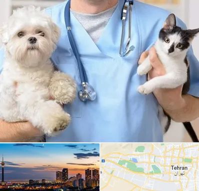 بیمارستان شبانه روزی دامپزشکی در غرب تهران 