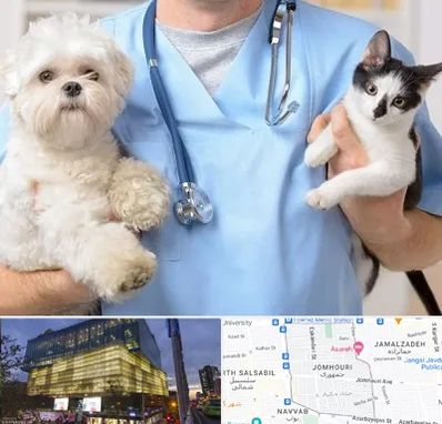 بیمارستان شبانه روزی دامپزشکی در جمهوری 