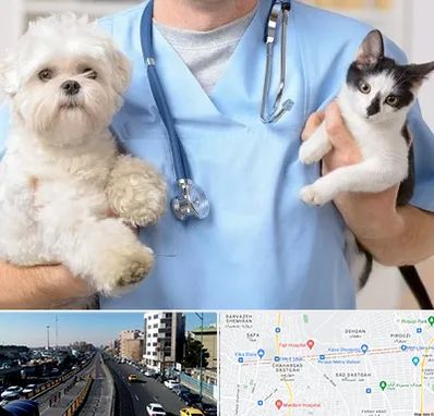 بیمارستان شبانه روزی دامپزشکی در پیروزی 