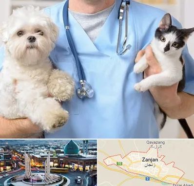 بیمارستان شبانه روزی دامپزشکی در زنجان