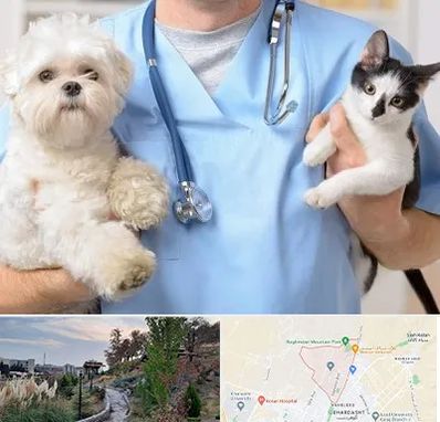 بیمارستان شبانه روزی دامپزشکی در باغستان کرج