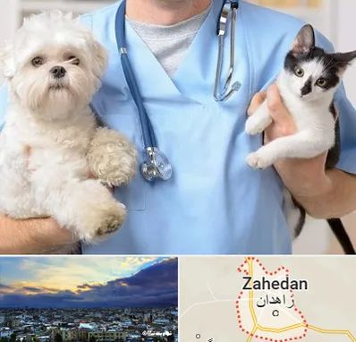 بیمارستان شبانه روزی دامپزشکی در زاهدان