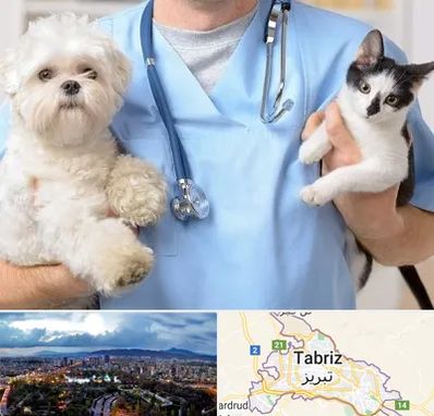 بیمارستان شبانه روزی دامپزشکی در تبریز