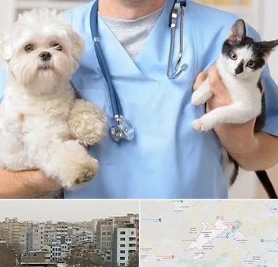 بیمارستان شبانه روزی دامپزشکی در محمد شهر کرج