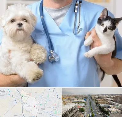 بیمارستان شبانه روزی دامپزشکی در حصارک کرج