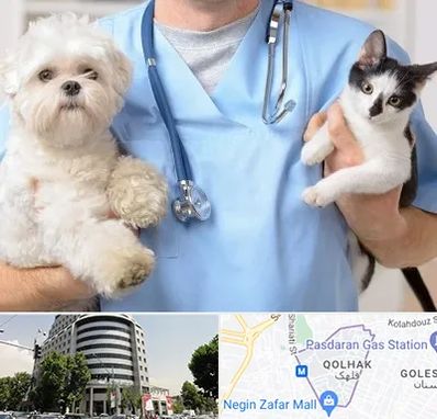 بیمارستان شبانه روزی دامپزشکی در قلهک 