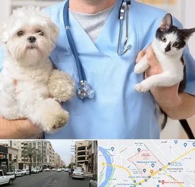 بیمارستان شبانه روزی دامپزشکی در زیتون کارمندی اهواز