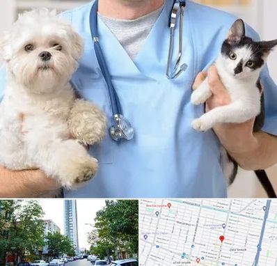 بیمارستان شبانه روزی دامپزشکی در امامت مشهد