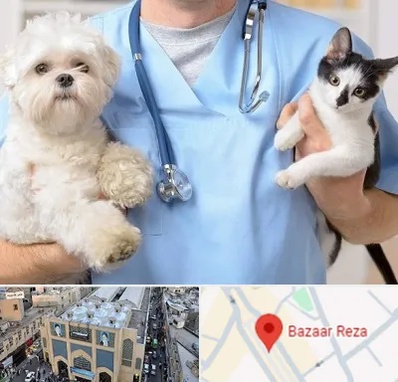 بیمارستان شبانه روزی دامپزشکی در بازار رضا مشهد
