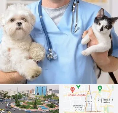 بیمارستان شبانه روزی دامپزشکی در ونک 