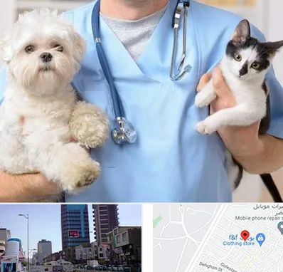 بیمارستان شبانه روزی دامپزشکی در چهارراه طالقانی کرج