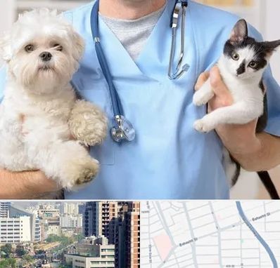 بیمارستان شبانه روزی دامپزشکی در خیابان بهشتی