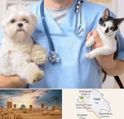 بیمارستان شبانه روزی دامپزشکی در یزد