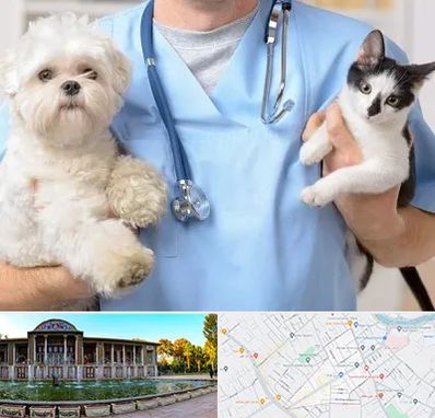 بیمارستان شبانه روزی دامپزشکی در عفیف آباد شیراز