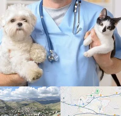 بیمارستان شبانه روزی دامپزشکی در رودهن