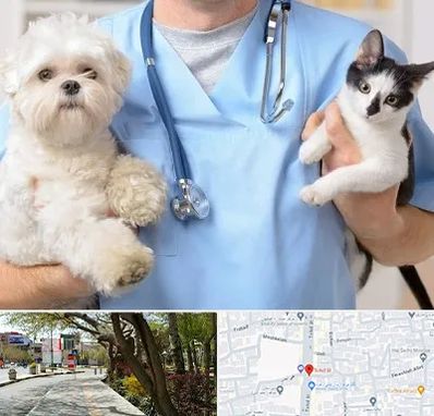 بیمارستان شبانه روزی دامپزشکی در خیابان توحید اصفهان