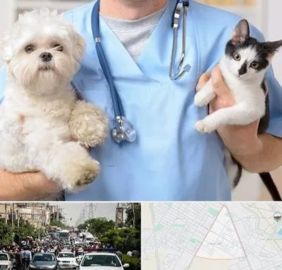 بیمارستان شبانه روزی دامپزشکی در سیدی مشهد