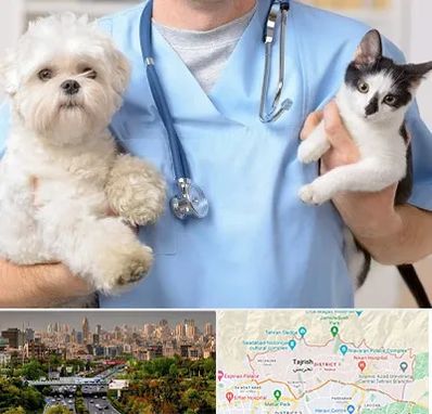 بیمارستان شبانه روزی دامپزشکی در منطقه 1 تهران 