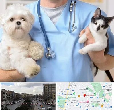 بیمارستان شبانه روزی دامپزشکی در بلوار فردوسی مشهد