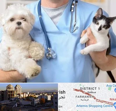 بیمارستان شبانه روزی دامپزشکی در فرمانیه 