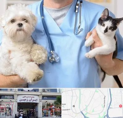 بیمارستان شبانه روزی دامپزشکی در ایران زمین