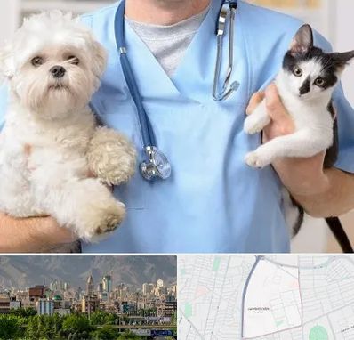 بیمارستان شبانه روزی دامپزشکی در جمشیدیه