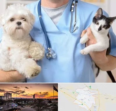 بیمارستان شبانه روزی دامپزشکی در قوچان