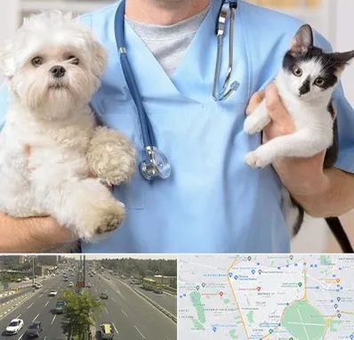 بیمارستان شبانه روزی دامپزشکی در منطقه 17 تهران 