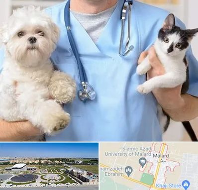 بیمارستان شبانه روزی دامپزشکی در ملارد