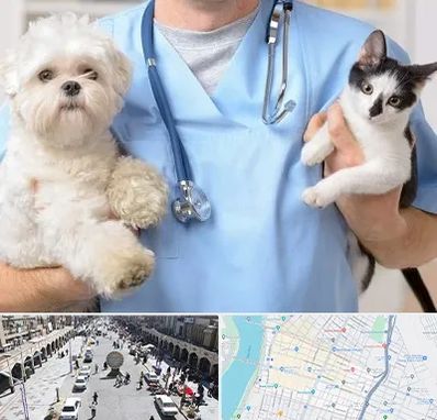 بیمارستان شبانه روزی دامپزشکی در نادری اهواز