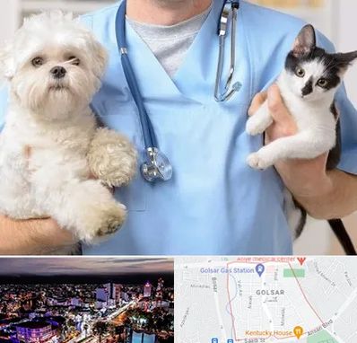 بیمارستان شبانه روزی دامپزشکی در گلسار رشت 