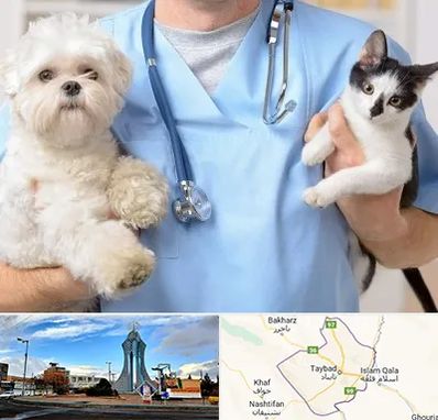 بیمارستان شبانه روزی دامپزشکی در تایباد