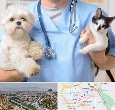 بیمارستان شبانه روزی دامپزشکی در معالی آباد شیراز