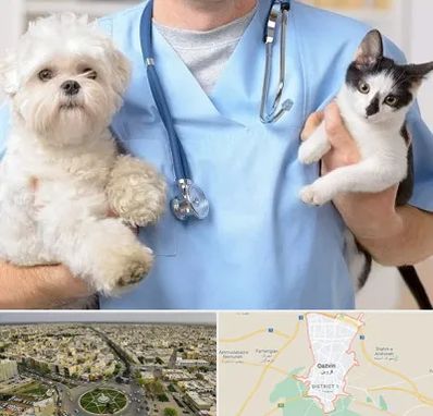 بیمارستان شبانه روزی دامپزشکی در قزوین