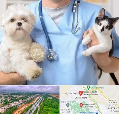 بیمارستان شبانه روزی دامپزشکی در قصرالدشت شیراز