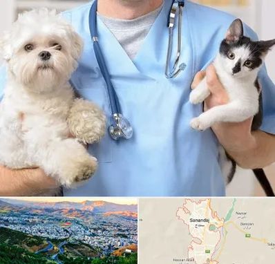 بیمارستان شبانه روزی دامپزشکی در سنندج