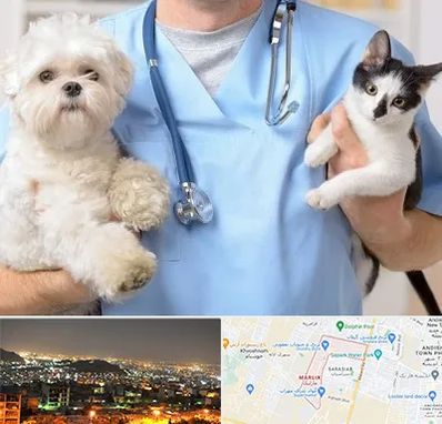 بیمارستان شبانه روزی دامپزشکی در مارلیک کرج